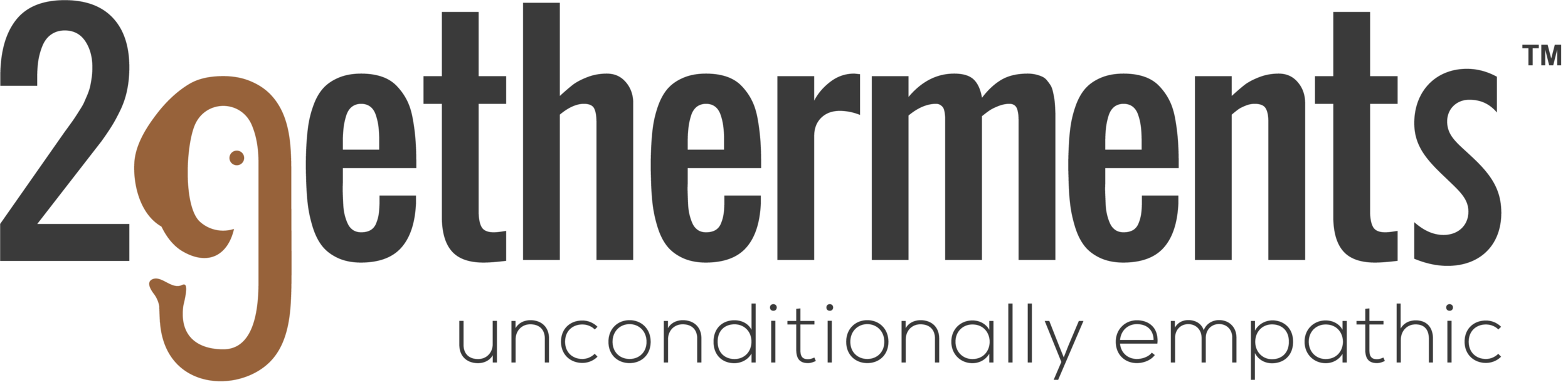 developer logo